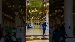 الشيخ/ سلطان عبدالله العمري - ماتيسر من سورة الاحزاب