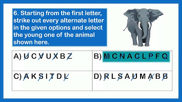 Science Olympiad Grade 2 - Animals
