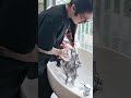 POV: Your Cornrows are 4 weeks in — time for that deep reset. 泡をのせた瞬間、ほどける感覚に集中して。 Just sound