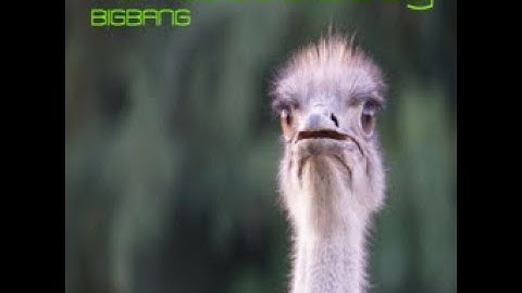 Fantastic Baby // BIGBANG =DDR XXTREME ESP chart=