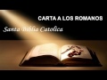 Carta A Los Romanos