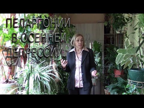 Осень. И у