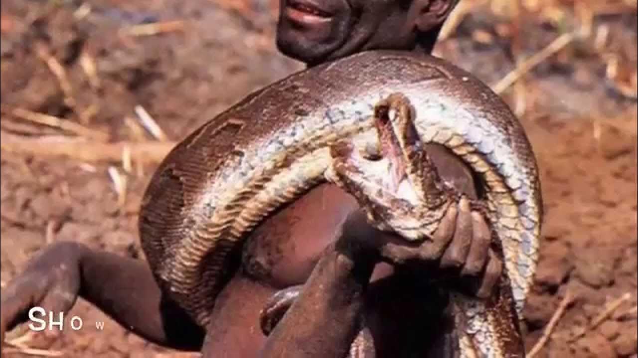 How to catch a PYTHON - African Style [Watch & Learn] - YouTube