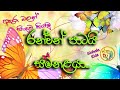 රන්වන් පාටයි සමනළයා | Ran wan Patai Samanalaya | A golden colored butterfly | Sinhala Kids Jaanu TV