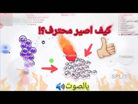 بلوب-||-شرحة-كيف-تصير-محترف-في-سيرفر-ميجا---شرح-بالصوت🔊!-|-blob.io-|-explain-how-to-become-a-profes