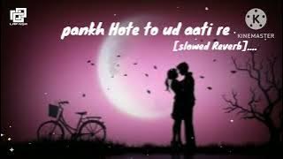 pankh hote to ud aati re )Rajesthani song.....[SLOWED REVERB_Lofi song°°]