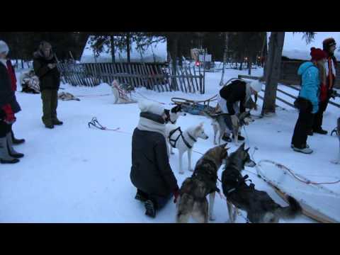 Video: Laplandijos Kaimas