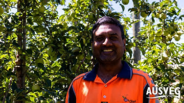 Horticulture – grow your career: Irrigation Manager (Bhavesh Donga, Plunkett Orchards)