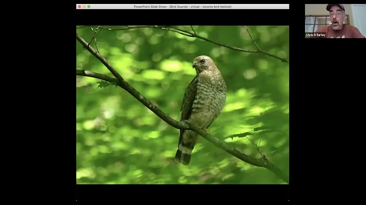 Intro to Birding By Ear with Chris Early