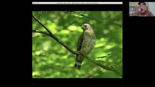 Intro to Birding By Ear with Chris Early