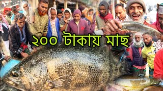 ঢাকা দোহারের বিখ্যাত মাছের আরতে  বিলের তরতাজা মাছ || Deshi Fish Market Dobli Bazar