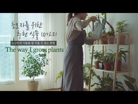 Videó: Hogyan lehet gyorsan zöldhagymát termeszteni otthon?