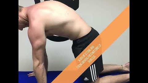 Scapular Setting and Strengthening for Lower Fibres of Trapezius