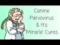 Canine Parvovirus and its 