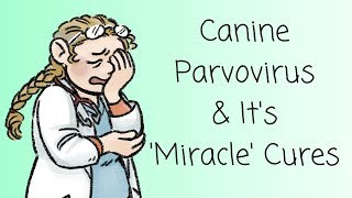Canine Parvovirus and its 'Miracle' Cures.
