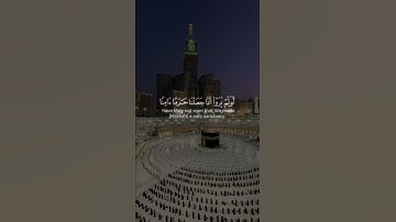 ﴿أَوَلَمْ يَرَوْا أَنَّا جَعَلْنَا حَرَمًا آمِنًا﴾ سورة العنكبوت #قرآن #quran