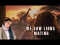 HONEYMOON IN KENYA PART 2 | WE SAW LIONS MATING