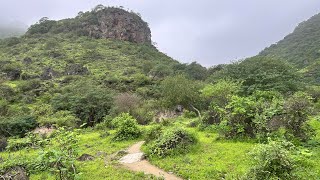 صلالة سلطنة عمان 🇴🇲