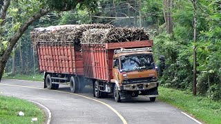 Truk Gandeng Tebu Di Jalur Selatan Lahor Mei 2023