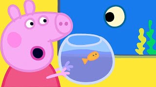 Peppa Pig en Español Episodios 🐳 Animals Marinos 🐳 Pepa la cerdita