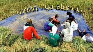 indah nya alam ku