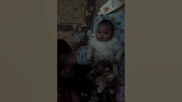 Pok Ame Ame Baim Senoandra Fabian Zuhailiandra 