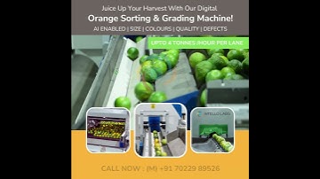 The Future of Fruit Sorting is Here!  #sortingsystem #fruit #sortingsolutions #colorsorter #sorter
