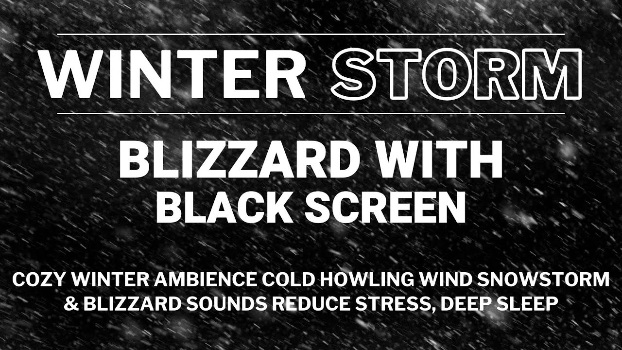 Cozy Winter Ambience | Cold Howling Wind | Snowstorm & Blizzard Sounds ...