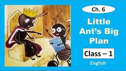 Little Ant