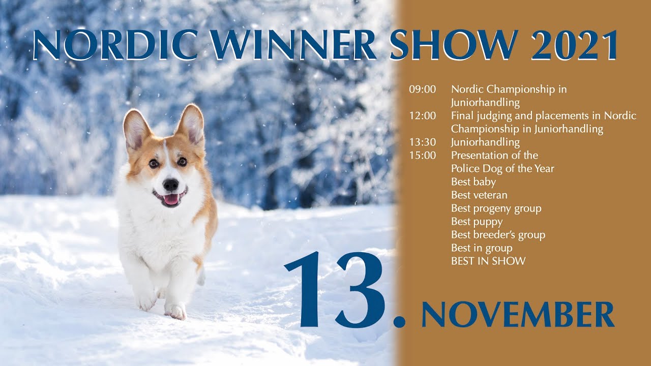 NORDIC WINNER SHOW - YouTube