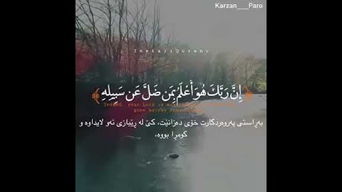 سالم الرويلي سورة القلم
