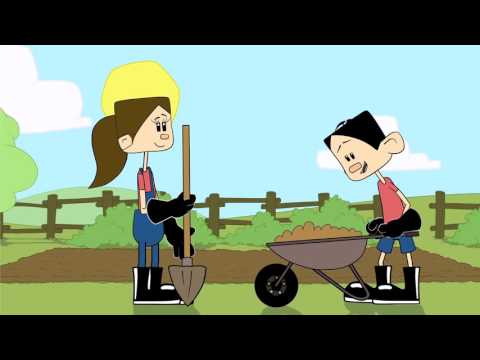 Mr \u0026 Mrs REAP_Strawberry Production Technology / მარწყვის მოყვანის ტექნოლოგია