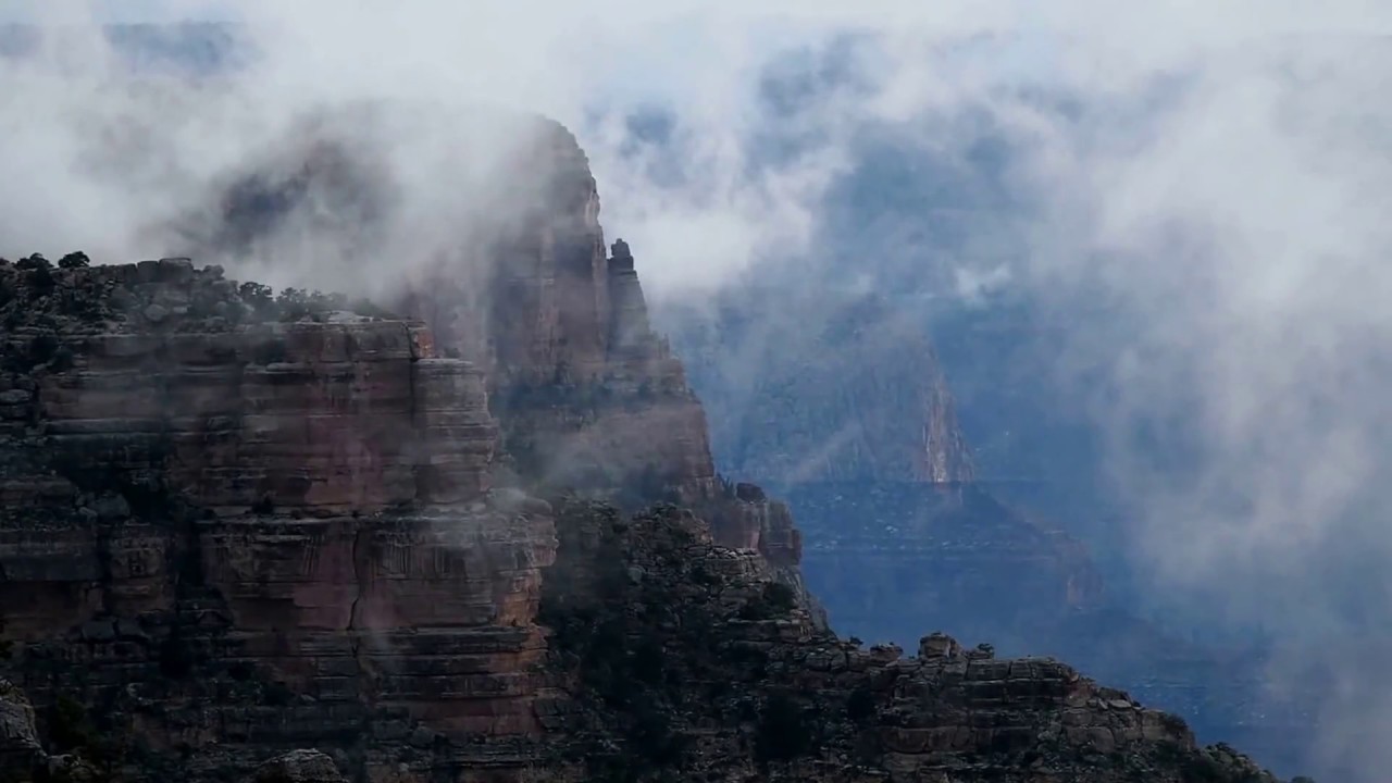 Rick And Morty African Dream Pop Long Version