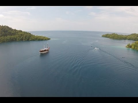 video phone beyonce mp3 Paradise - Indonesia - Raja Ampat