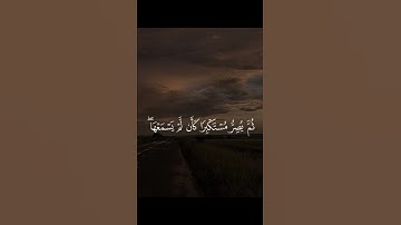 ويل لكل أفاك أثيم | محمد اللحيدان | سورة الجاثية | #قرآن #تلاوات #المصحف #محمد_اللحيدان #تلاوة_خاشعة