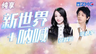 华晨宇张韶涵《新世界 呐喊》 强强联合！绝美星空配上华丽高音 纯享 | ZJSTV #Music #live
