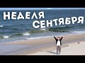 Первая неделя учебы и что у меня происходит