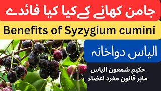 jamun khane ke fayde | syzygium cumini