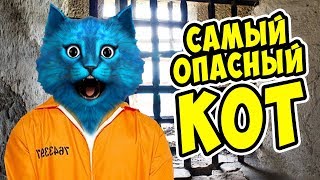 СИМУЛЯТОР ВОРА в ВИРТУАЛЬНОЙ РЕАЛЬНОСТИ Thief Simulator VR ПОБЕГ из ТЮРЬМЫ в ВР КОТЁНОК ЛАЙК