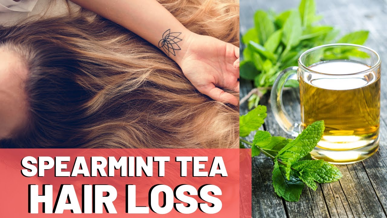 Spearmint Tea for Hair Growth: Effects & Benefits - Hairguard