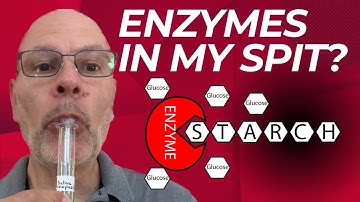 I Used My Own Saliva to Explain Enzymes… and It Worked! | AP Biology