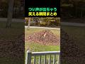 つい声が出ちゃう笑える瞬間まとめ🤣😂🤣