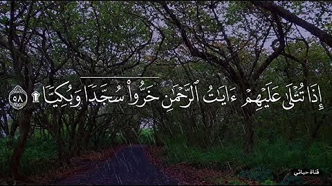 إذا تتـلى علـيهم آيات الرحمـن ❤️ايات قرانيه قصيره حالات واتس/راحه نفسيه/ارح سمعك /ارح قلبك❤️
