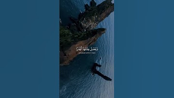 سورة النمل | ياسر الدوسري | #quran #yasseraldossary #قرآن #اكسبلور #قران_كريم #المصحف #حالات_واتس