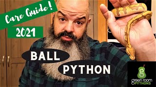 Ball Python Care for Beginners