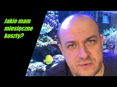 Wideo: Jak Utrzymać Akwarium Morskie?