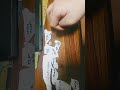 evolution of Australia in 127 seconds
