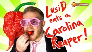 LusiD eats a Carolina Reaper! 🥵 [Can't Stand the Heat]