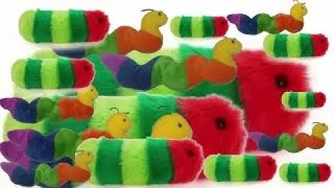 A song that plays when you encounter a caterpillar but you encounter 18 at different times