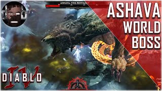 Diablo 4 Beta - Ashava World Boss Fight Gameplay